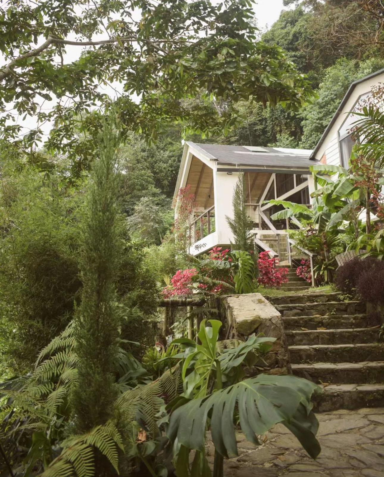Minca Casa Las Nubes - Un Refugio Natural En La Sierra Nevada, Santa Marta, Col Екстериор снимка